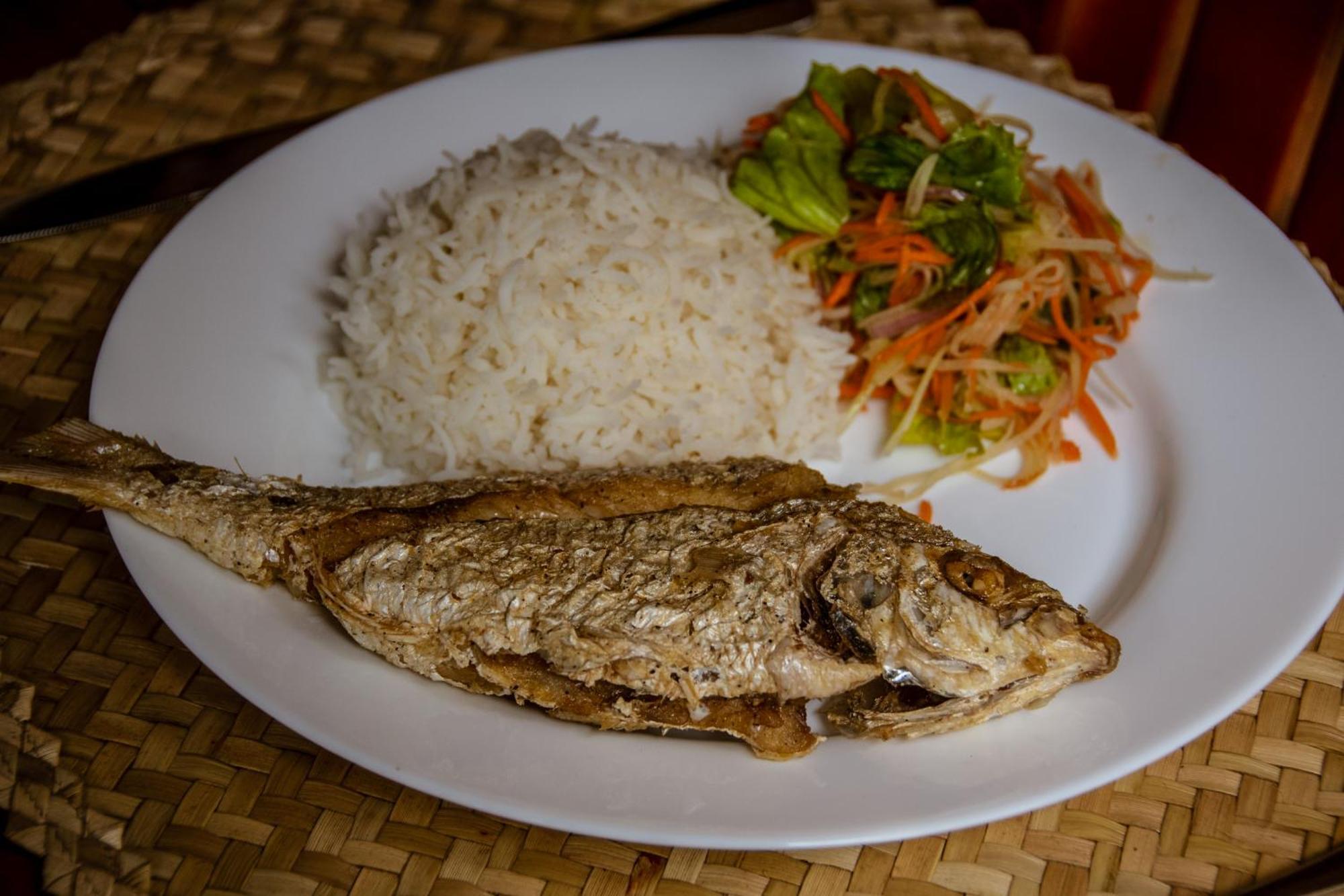 Le Tropical Chez Jeannette Bed & Breakfast Saint Gabriel Luaran gambar